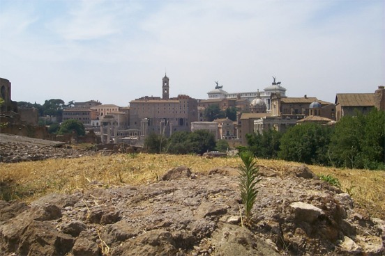 The top bell tower in this picture is the Musei Capitolini (Capitoline Museum) on the other side of which is the Piazza del Campidoglio, where the Roman Emperors ruled over Rome.  (Unfortunately we thought it was the building to the right with the statues, actually the Monument for Vittorio Emanuele II, so we never made it there)