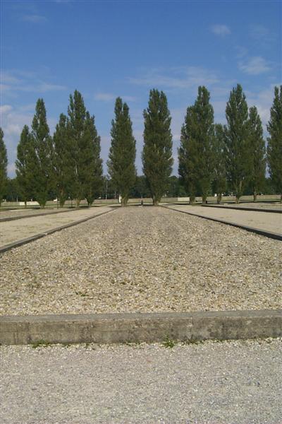 Here is the foundation for one of the Wohnbaracken, or barracks used to house prisoners.  There were 15 of these barracks that were intended to hold 208 prisoners each.  Upon the violent expansion of the Third Reich, however, as many as 1600 prisoners were housed in a barrack.  There are actually 34 of these barrack foundations but apparently some of them were used for other purposes.  Two of them were used by Dr. Rascher for "experiments" on the prisoners.