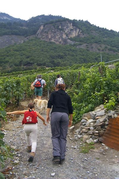It was a beautiful area with vineyards all along the lower mountain side.