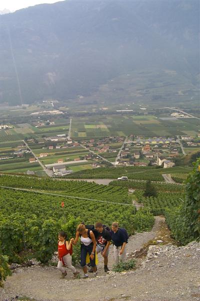 The hike through the vineyards was quite steep and made me wonder how they can ever pick all the grapes.