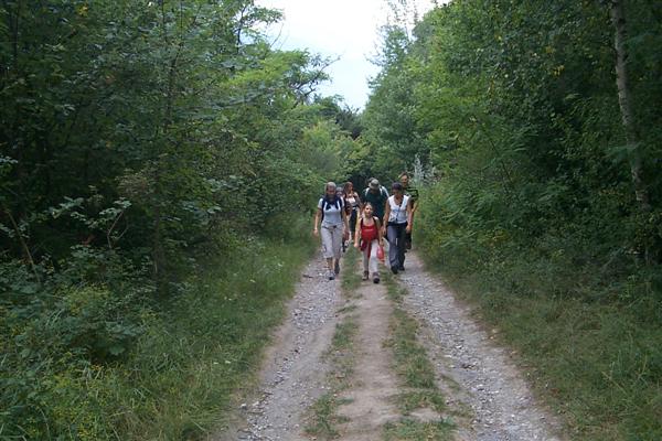 Now above the vineyard's and into the trees.