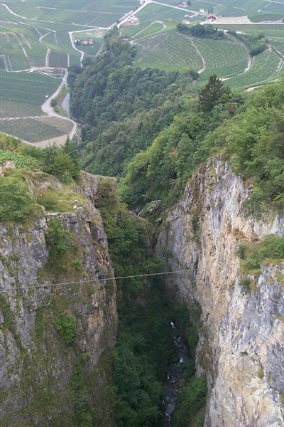 The view down towards the valley with all the vineyards along the lower mountain edge.