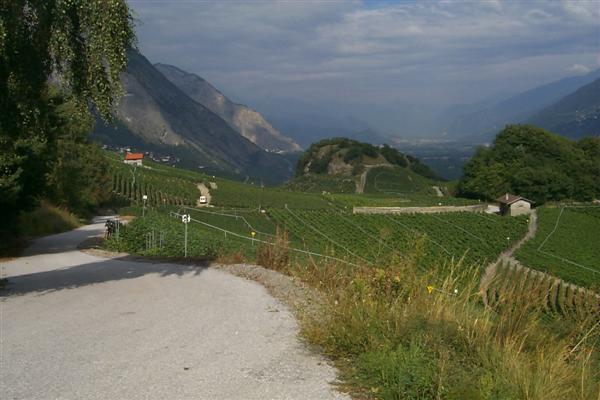 Looking over the vineyards towards Sion.