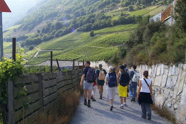 The vineyards on the mountain side make for some beautiful scenery.