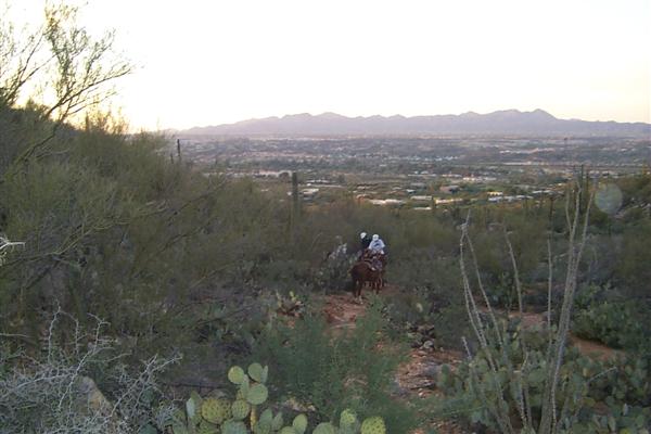 This was on the way down.  It was hard to shoot pictures while the horse was going.  I have to admit I was a little nervous during the ride, mostly because falling off the horse would mean falling into a death trap of cacti.