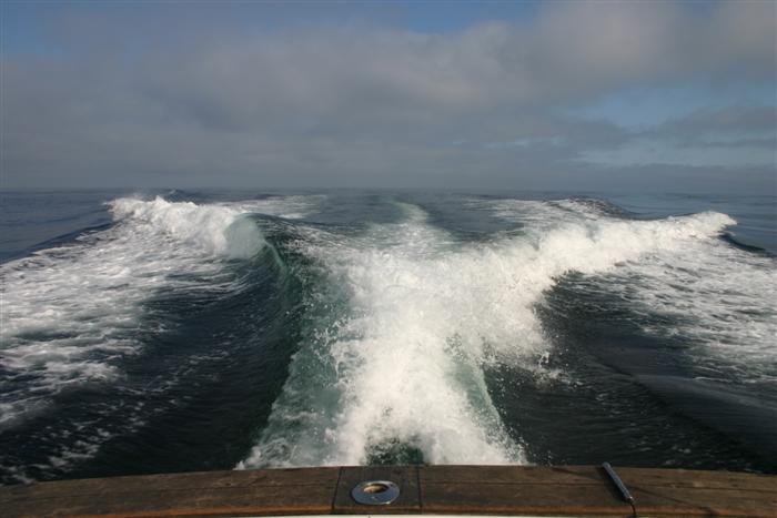 Nice wake.  We were fishing up to about 12 miles off the coast in the Massachusetts Bay