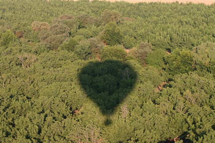 Ballooning in Napa