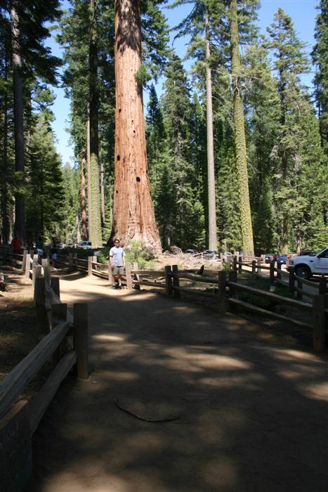 Yosemite