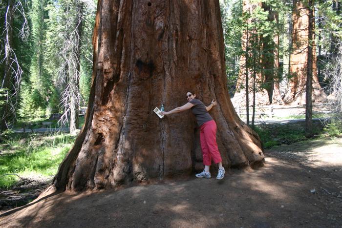 Yosemite