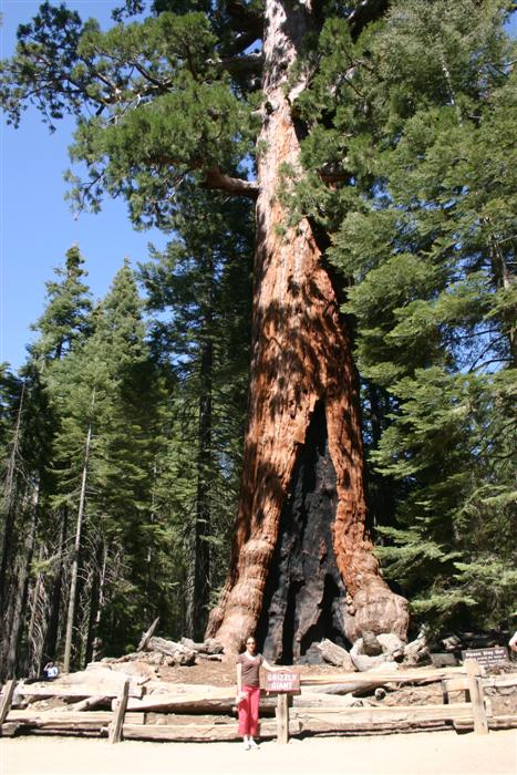 Yosemite