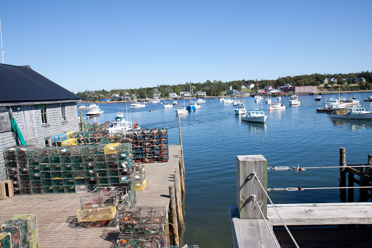 Acadia National Park - Day 1