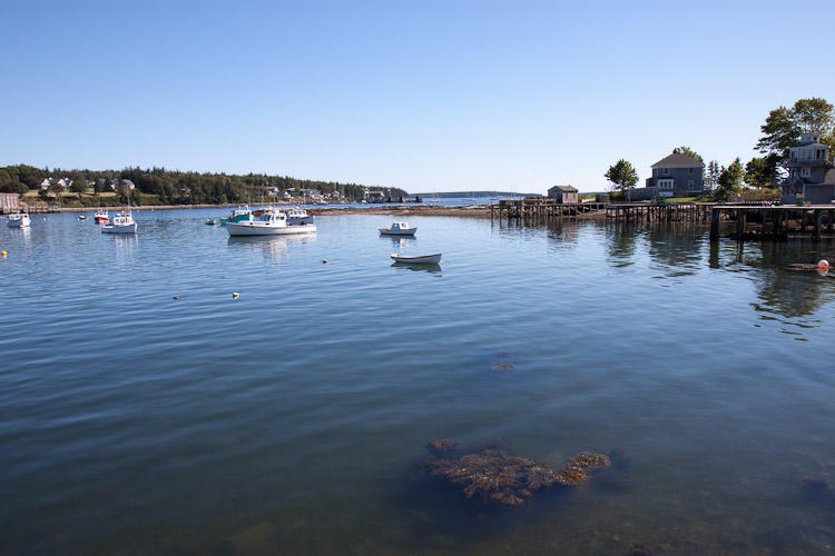 Acadia National Park - Day 1